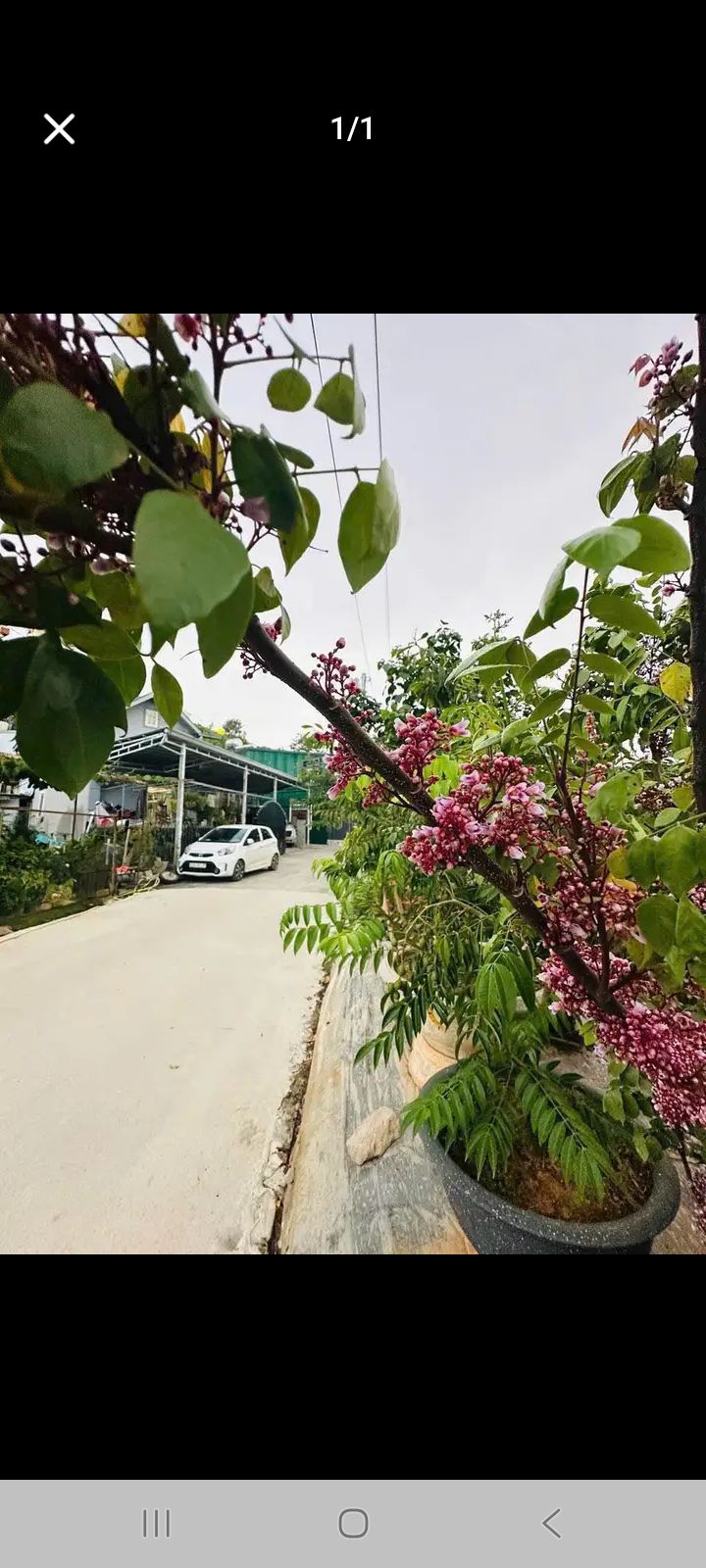 Đất nền Đà Lạt 90m² giá 1.3 tỷ - Sổ đỏ chính chủ, gần Nhà thờ Con Gà!