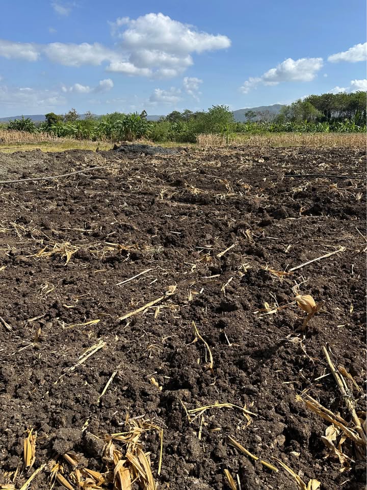 Đất nền 20,000m² xã Eahleo, Đắk Lắk giá chỉ 16.8 tỷ - Sổ đỏ chính chủ!