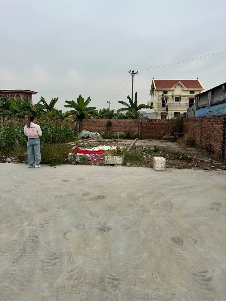 Lô đất Hoa Động Thủy Nguyên 54m² giá 2 tỷ - Vị trí đắc địa, sổ đỏ chính chủ!