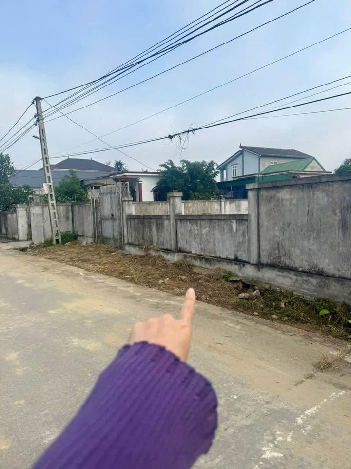 Đất Nghi Liên Vinh 244.7m² giá 3.8 tỷ - Đường ô tô tránh nhau, tiện ích đầy đủ!