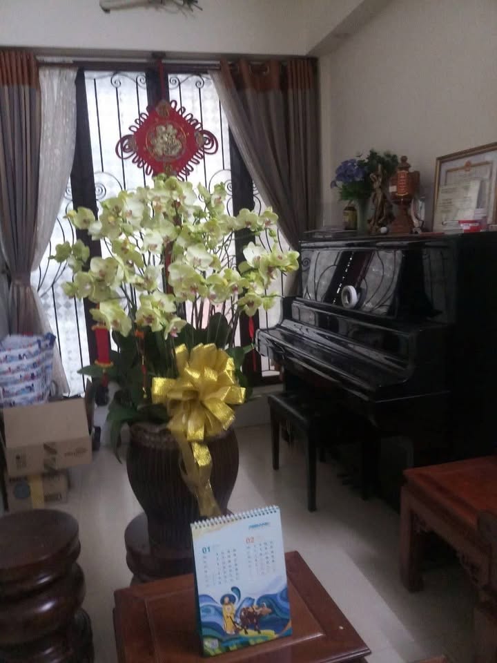 Nhà 6 tầng hẻm 261 Võ Thành Trang, Tân Bình 126m² giá 14.4 tỷ - Có thang máy, tầng hầm ô tô