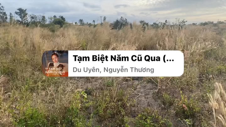 Đất nền 6ha tại Ia Le, Gia Lai - Cách Quốc lộ 14A chỉ 1km - Sổ đỏ chính chủ!