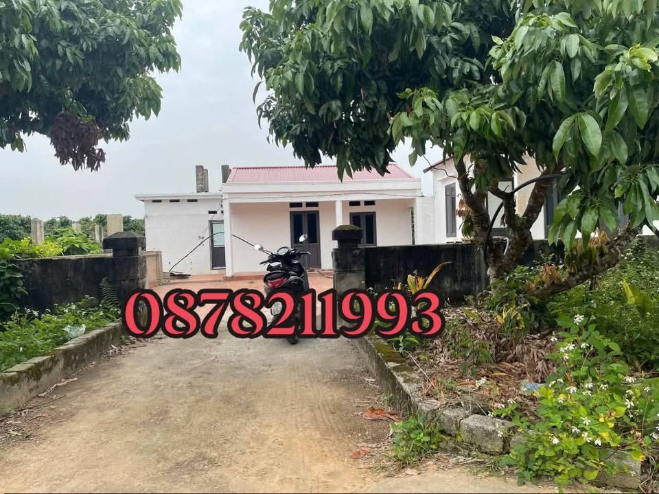 Đất nền Bình Sơn Lục Nam 600m² giá chỉ vài trăm triệu - Sẵn nhà cấp 4 vào ở ngay!