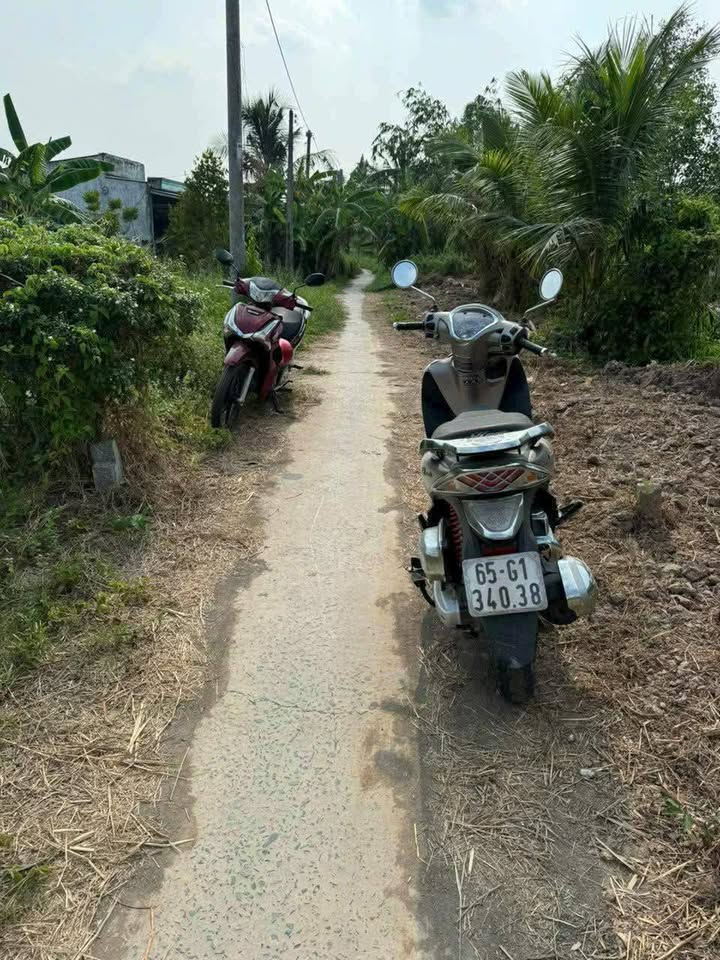 Đất nền 67m² xã Giai Xuân, huyện Phong Điền giá 350 triệu - Cơ hội đầu tư tốt!