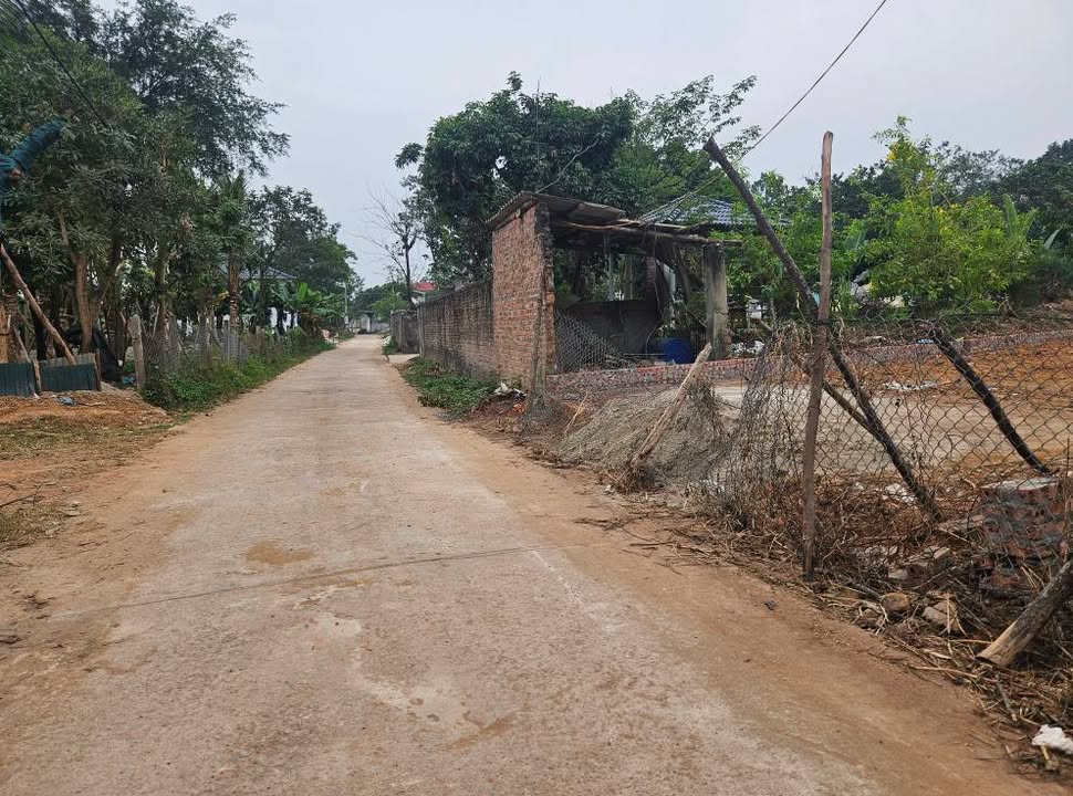 Đất nền Hướng Đạo Tam Dương 151,2m² giá 1,3 tỷ - Cơ hội đầu tư tuyệt vời!