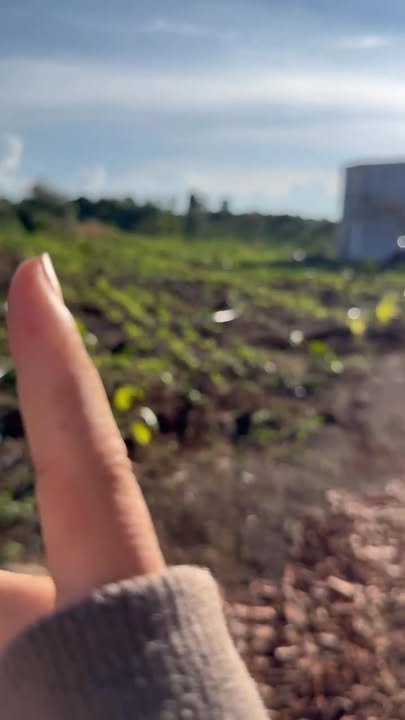 Đất Farm 2ha tại đường Eamro, Cư M'gar - Giá chỉ 4 tỷ VND, cơ hội đầu tư không thể bỏ qua!