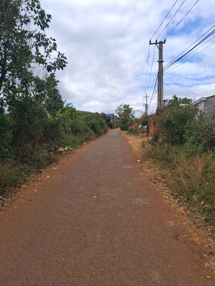 Đất nền xã Ia Rong, huyện Chư Pưh, 462m² - Cơ hội đầu tư hấp dẫn!