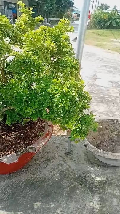 Nhà mặt tiền lộ Dừa Châu Thành 130m² giá 2.2 tỷ - Full nội thất tặng 3 máy lạnh!