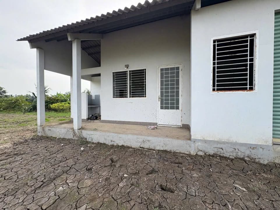 Đất nền đẹp mặt tiền Nguyễn Văn Thọ, Lạc Tấn, Tân Trụ 989.5m² - Giá chỉ 2.15 tỷ!