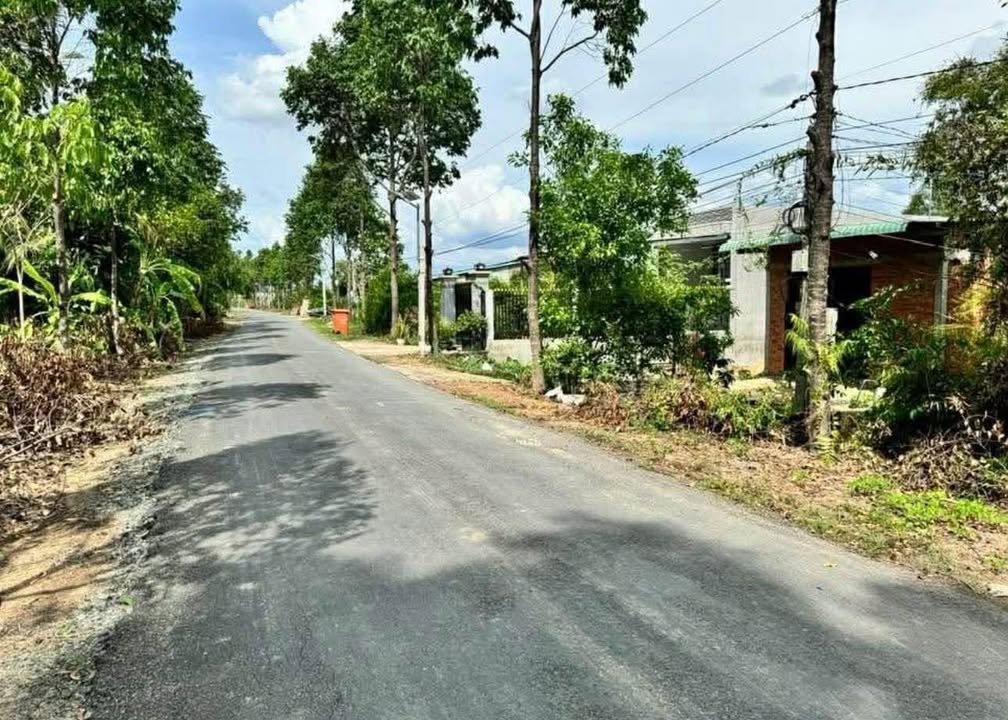 Đất nền thổ cư Lương Hòa, Bến Lức 292m² giá 2.5 tỷ - Sổ hồng riêng pháp lý rõ ràng!