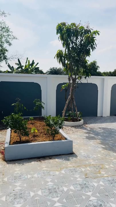 Biệt thự vườn 557m² tại Mỹ Lộc - Sổ hồng riêng, giá 4.8 tỷ - Thương lượng ngay!