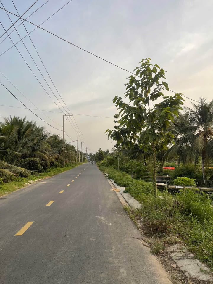 Đất mặt tiền đường Huyện 86B, xã Tân Mỹ Chánh, TP Mỹ Tho 245m² giá 2.4 tỷ - Sổ hồng chính chủ!