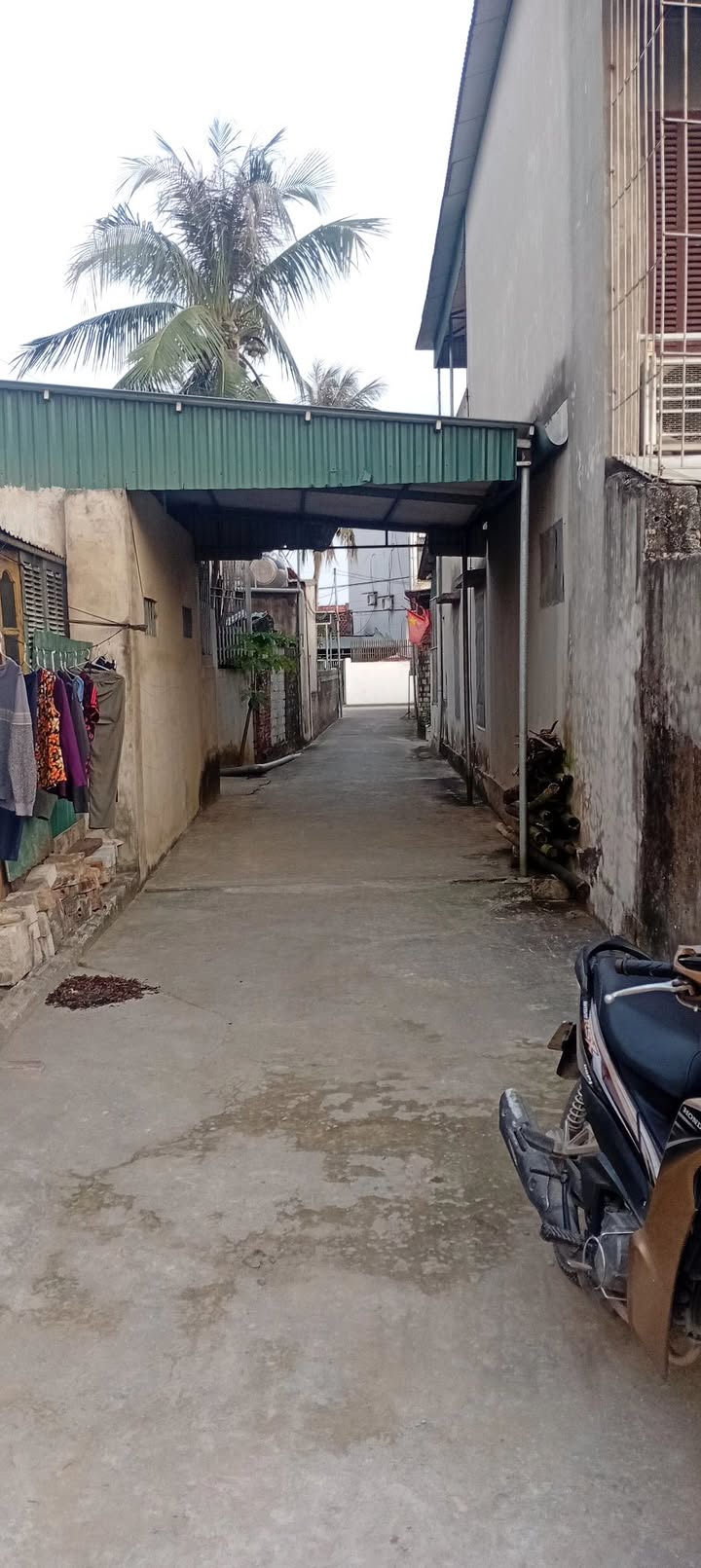 Bán lô đất 132m² tại Quảng Tiến, Sầm Sơn - Giá chỉ 1.35 tỷ, nhà cấp 4 sẵn ở!