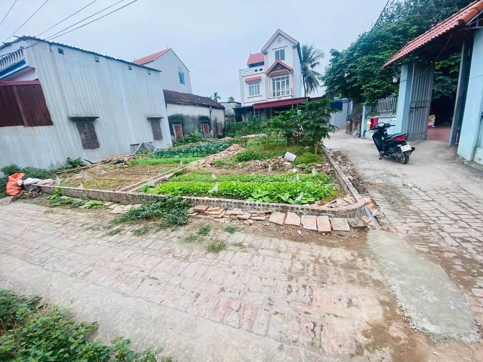 Đất thổ cư thôn 4 Mê Linh 96m² giá 3 tỷ - Cơ hội đầu tư tuyệt vời!