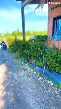 Nhà vườn 700m² tại Tân Thành, Thủ Thừa - Chỉ 830 triệu, vị trí đắc địa!