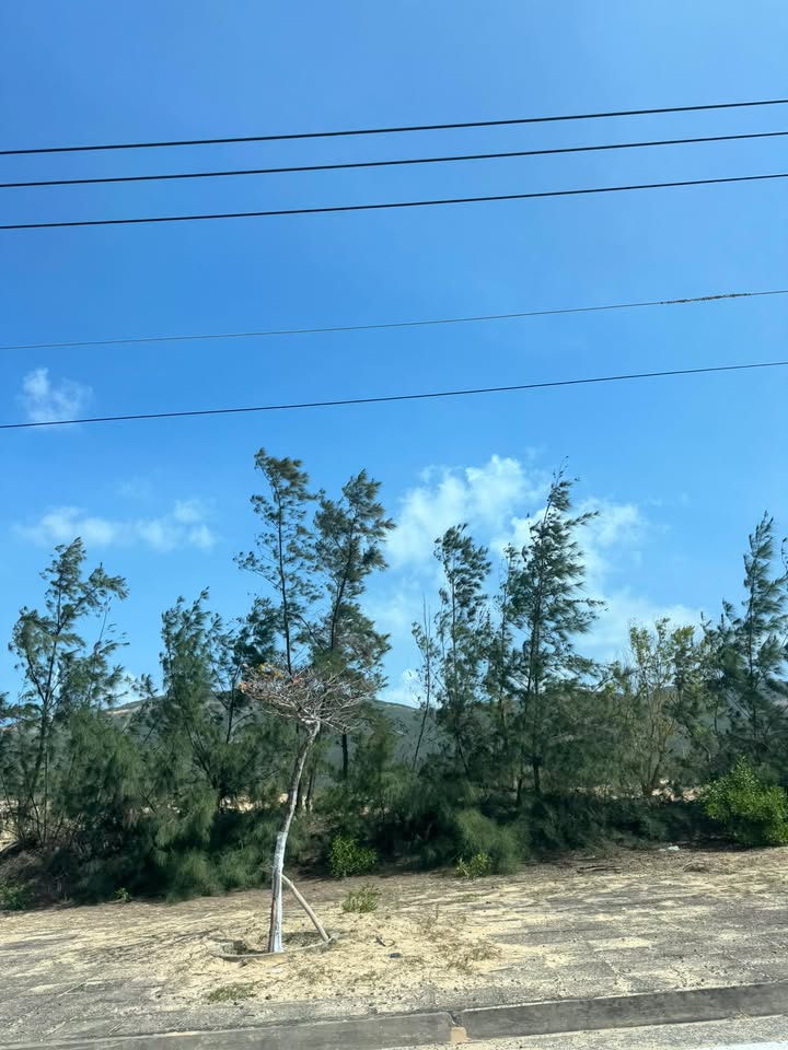 Bán lô đất 41m² tại trung tâm Quy Nhơn - Giá chỉ 2.15 tỷ VND