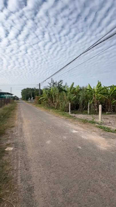 Đất nền ấp Long Phú, Long Chữ, Bến Cầu 200m² giá 370 triệu - Đầu tư sinh lời ngay!