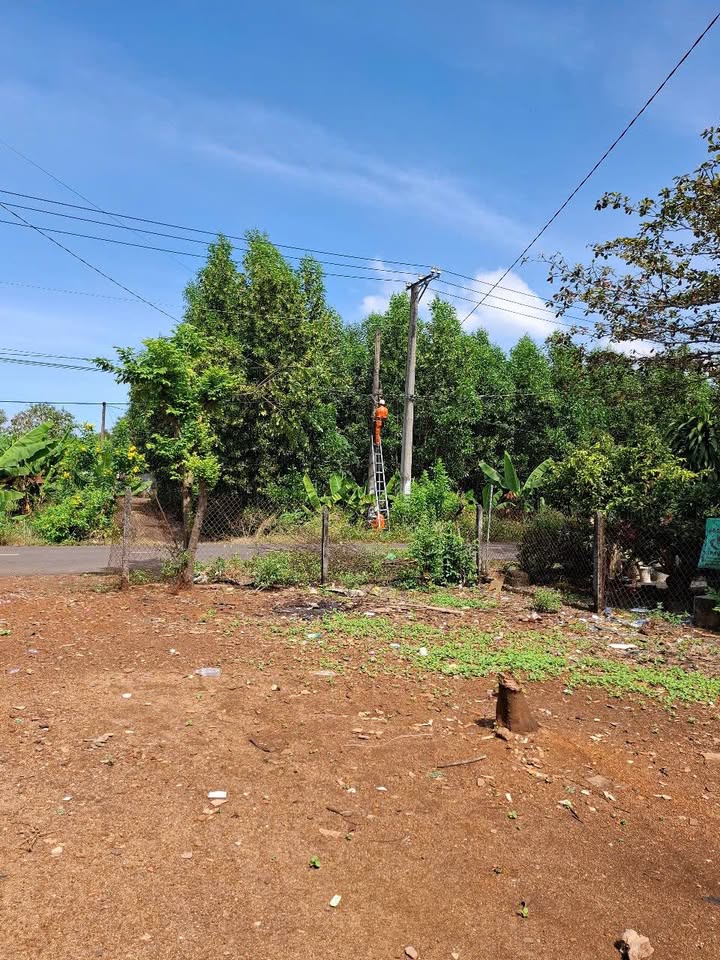 Đất nền 320m² ấp 7 Sông Trầu, Trảng Bom - Giá chỉ 1.15 tỷ, mặt đường nhựa!