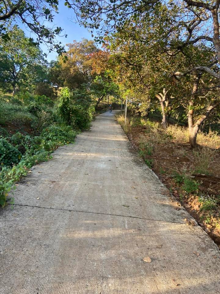 Đất nền Bù Đăng 34.000m² giá 1.1 tỷ - Vị trí trung tâm thuận lợi!