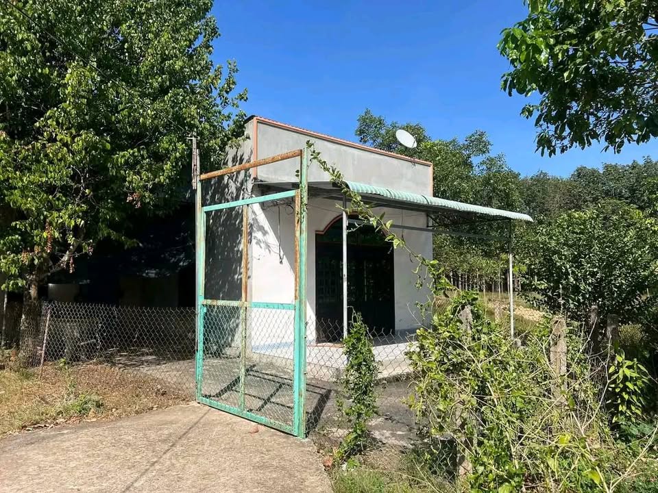 Farm Hớn Quản 1.4ha giá 1 tỷ - Nhà mới keng xà beng, sổ hồng đầy đủ!