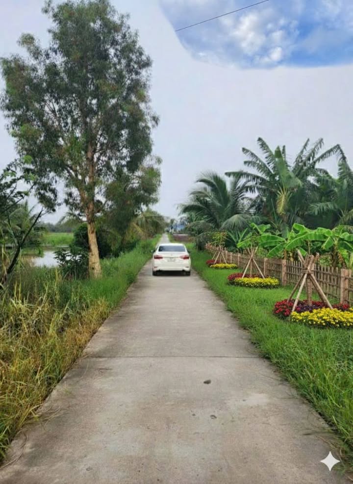 Đất nền Cống Cây Me, An Xuyên 115m² chỉ 240 triệu - Cơ hội đầu tư tuyệt vời!