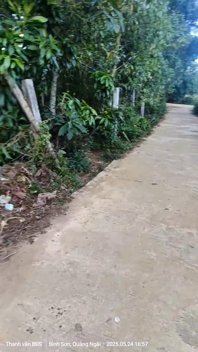 Đất nền Bình Hòa 182m² giá chỉ 400 triệu - Đường bê tông ô tô, gần biển An Cường!