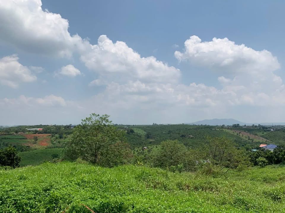 Đất nền Lộc An Bảo Lâm 243m² giá 1.2 tỷ - Mặt tiền đẹp, thổ cư 100%!