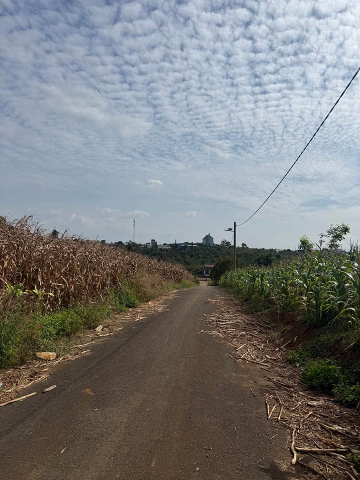 Đất thổ cư Lộc Ngãi Bảo Lâm 125m² giá 499 triệu - Cơ hội đầu tư tuyệt vời!