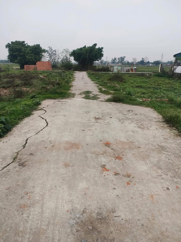 Đất thổ cư Tam Hưng, Thanh Oai 54m² giá thỏa thuận - Đường ô tô đỗ cửa!