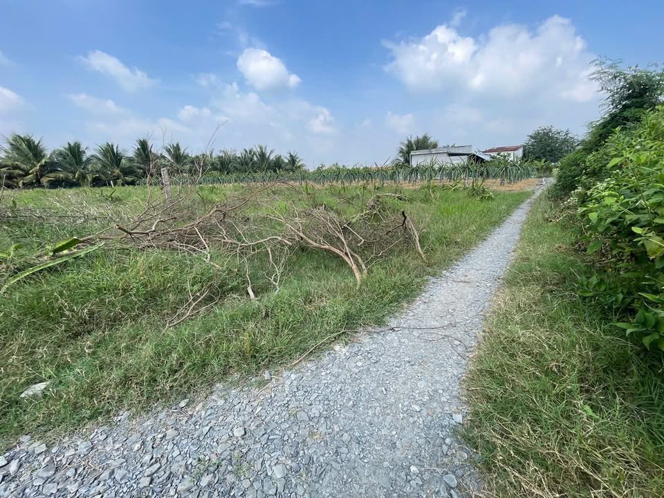 Đất nền 1000m² xã Thuận Mỹ, Châu Thành, Tây Ninh - Giá chỉ 420 triệu!