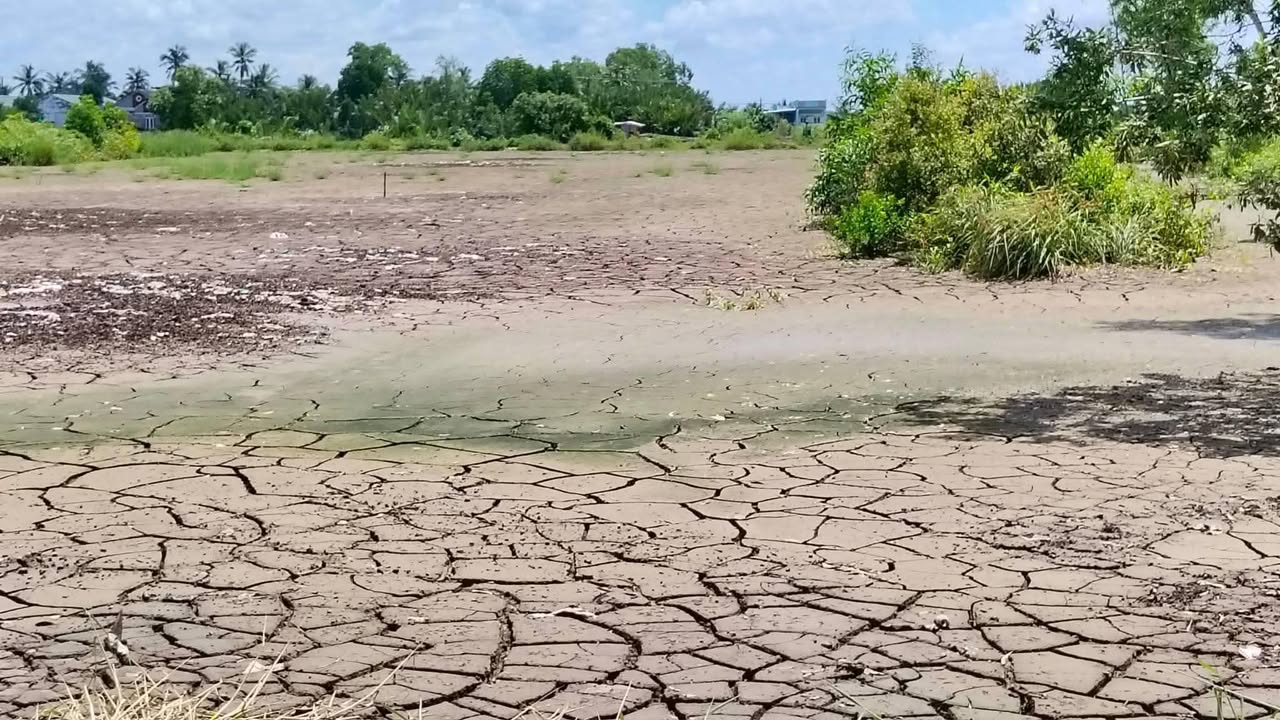 Đất thổ cư Hồ Thị Kỷ 1476m² giá 550 triệu - Đầu tư sinh lời ngay!