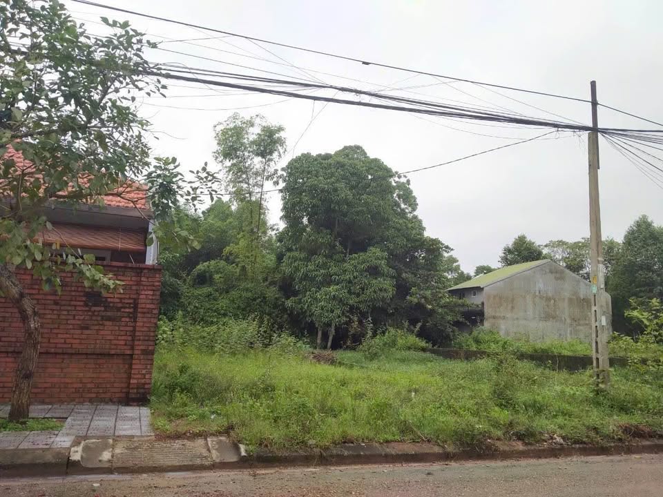 Lô đất biệt thự Phan Kế Bính, Thủy Xuân 213m² giá 3.667 tỷ - Vị trí đắc địa, sẵn sàng giao dịch!