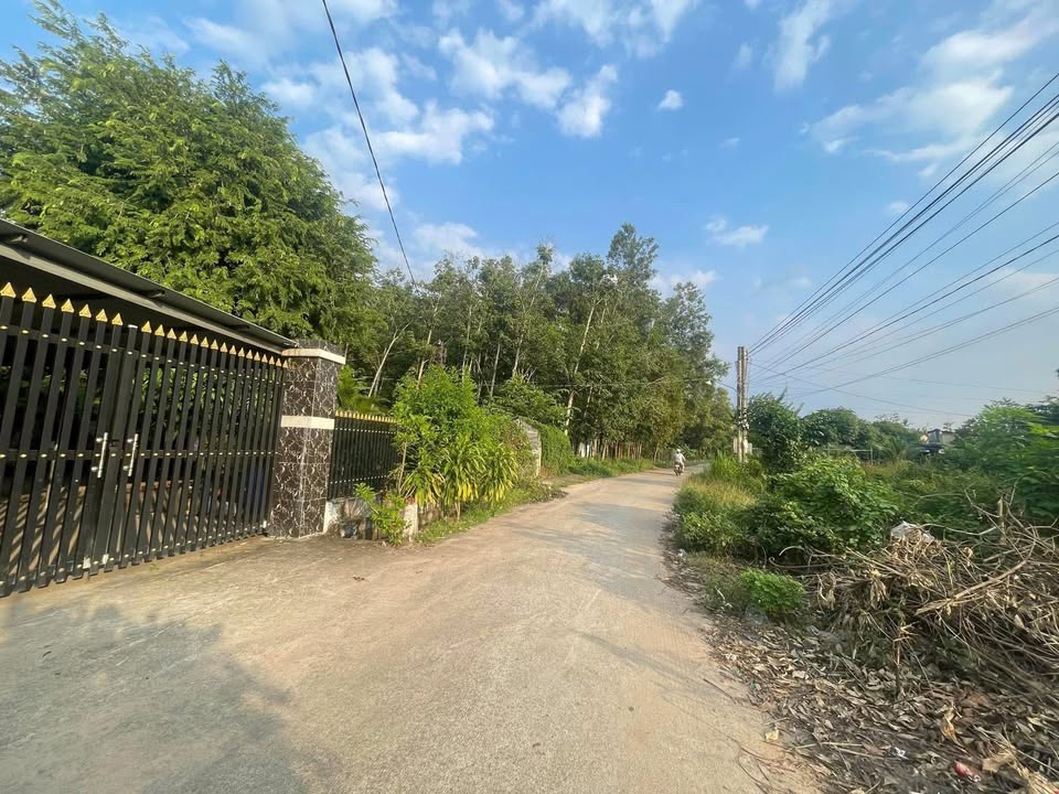 Đất nền ấp Bến Tranh, xã Thanh An, huyện Dầu Tiếng 540m² giá chỉ 1.7 tỷ - Đầu tư sinh lời ngay!