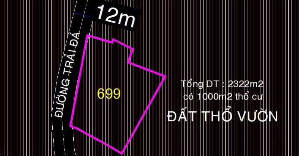 Đất thổ cư 1000m² xã Phước Vĩnh An, Củ Chi 2322m² giá 15.5 tỷ - Đầu tư sinh lời tốt!