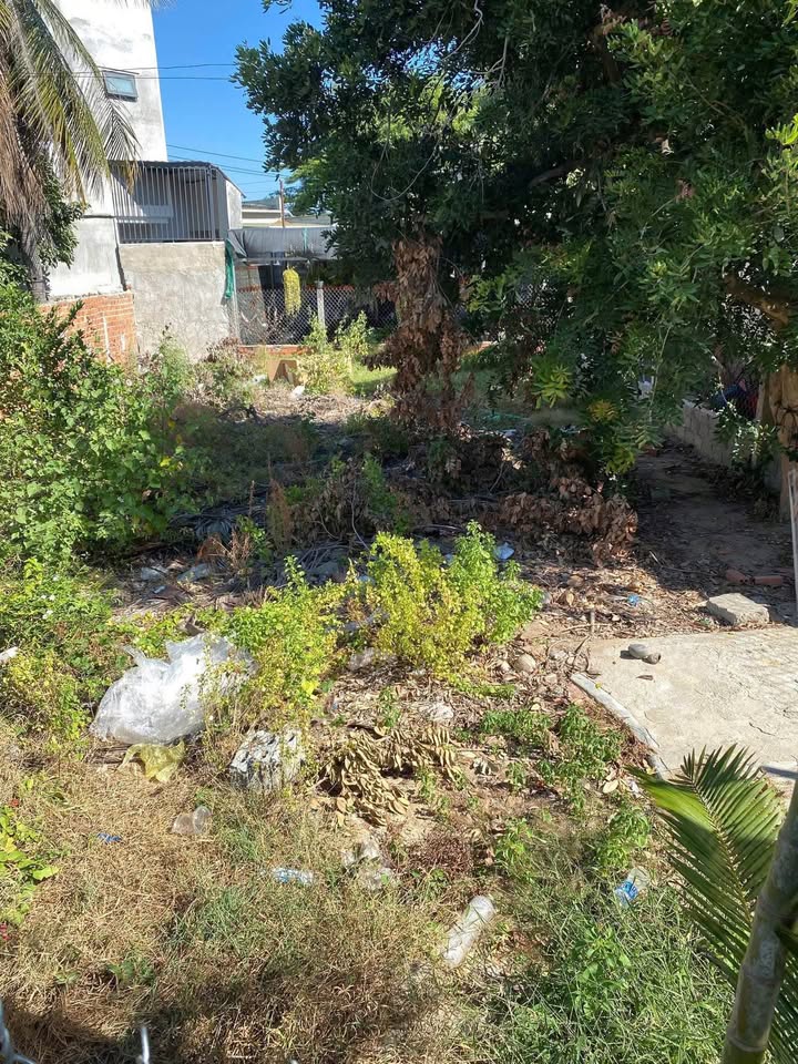 Lô đất đẹp hẻm Hoa Lâm, Văn Hải, 156m² giá 1.35 tỷ - Đầu tư sinh lời ngay!