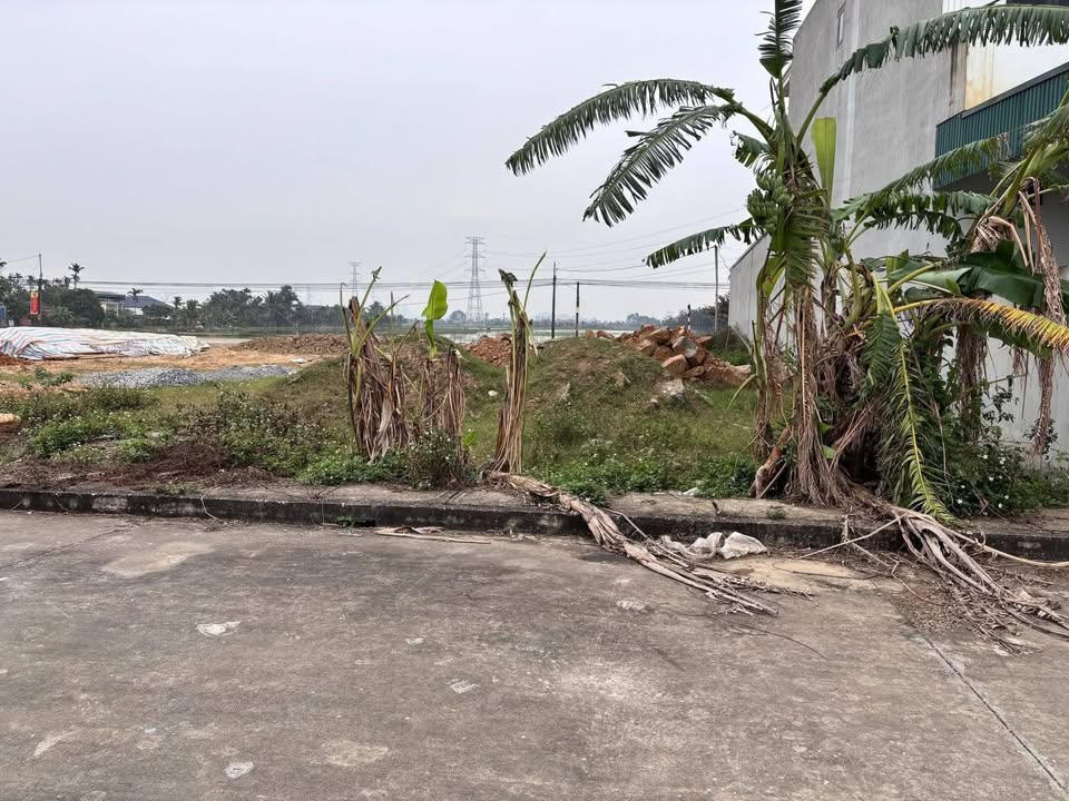 Đất nền Cầu Lộc Hậu Lộc 218m² giá 800 triệu - Đầu tư sinh lời ngay!