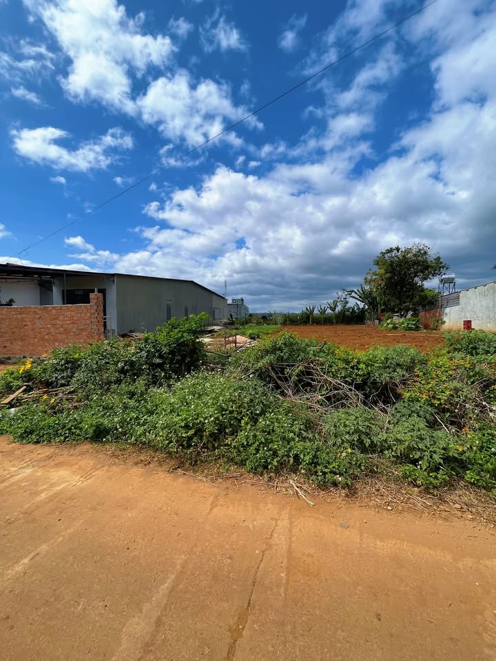 Đất nền An Phú, Pleiku 200m² giá thỏa thuận - Vị trí đẹp, xây nhà lý tưởng!