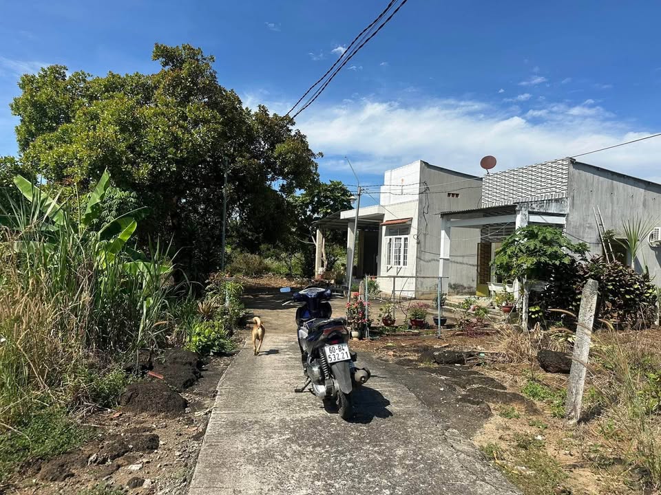 Đất Phú Hòa Đồng Nai 1000m² chỉ 1.6 tỷ - Sổ hồng chính chủ, vị trí đẹp!