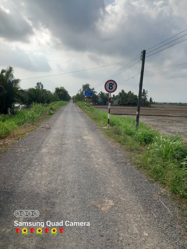 Đất Farm 18 công tại ấp Đồn Điền, Vĩnh Long - Mặt tiền 40m, đầu tư sinh lời!