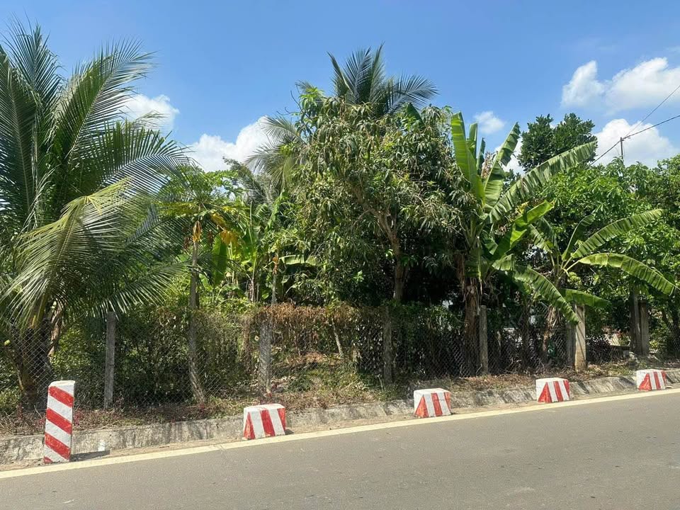 Đất thổ cư tại Thôn 5, xã Bắc Ninh Hòa, 390m² chỉ 890 triệu - Cơ hội đầu tư tốt!