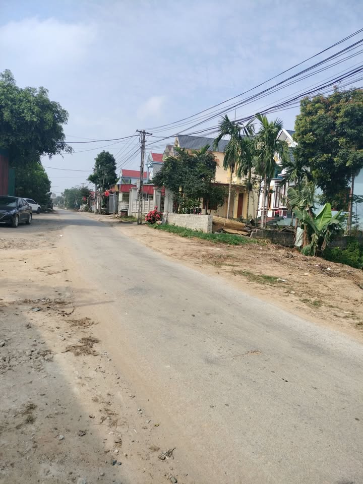 Đất nền Thọ Ngọc, Triệu Sơn 125m² giá 600 triệu - Cơ hội đầu tư không thể bỏ lỡ!