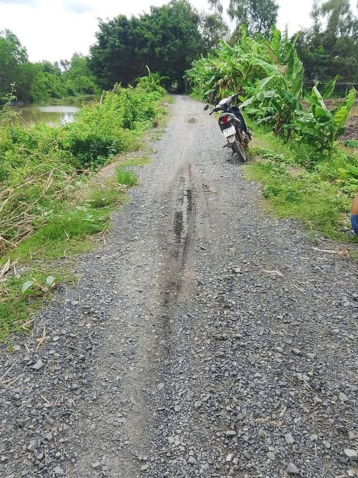 Đất nền Kiến Bình, Tân Thạnh, Long An 14.000m² - Đầu tư sinh lời ngay!