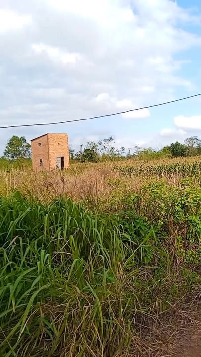 Đất mặt tiền Nguyễn Thi, Buôn Hồ 3000m² giá 1.7 tỷ - Cơ hội đầu tư tuyệt vời!