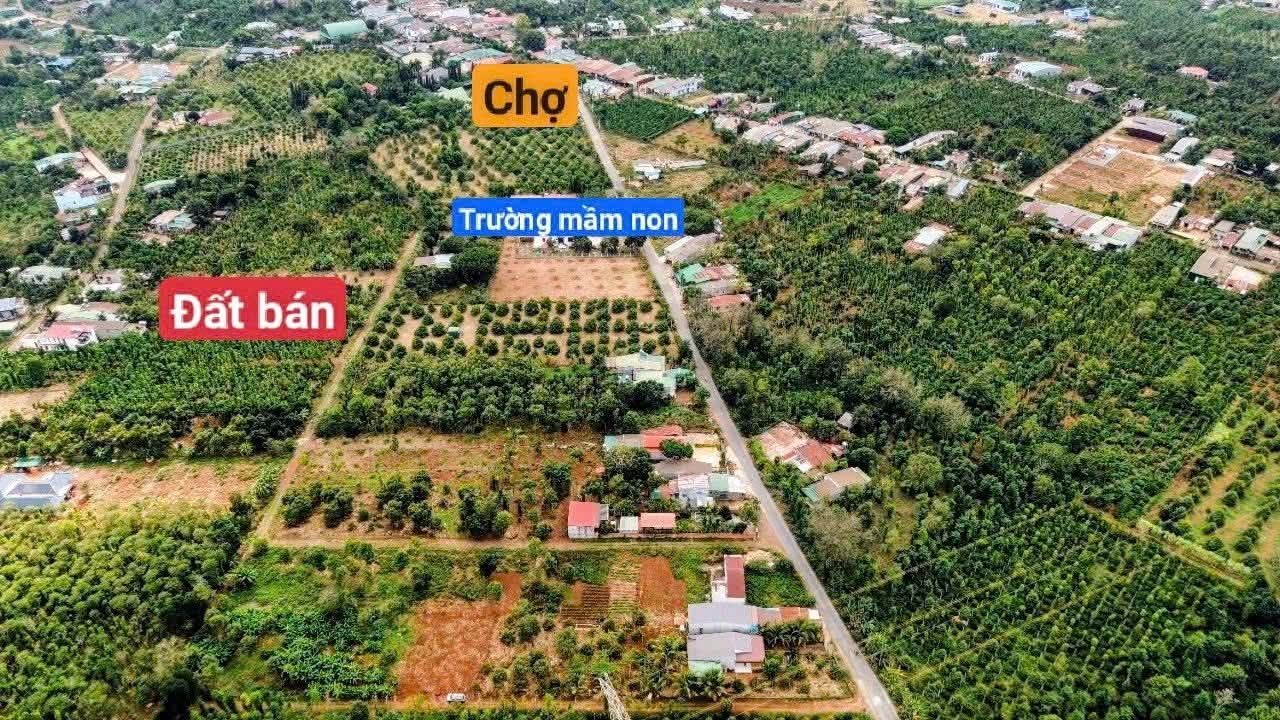 Đất nền Cư Suê, Cư M'gar 75m² giá tốt - Cơ hội đầu tư hấp dẫn!