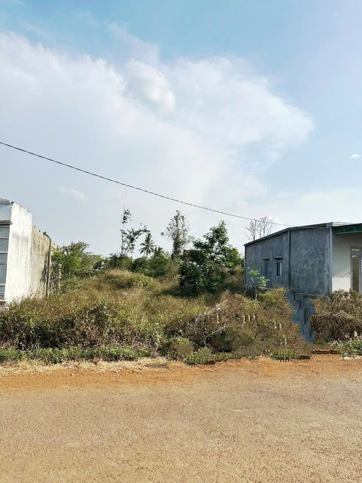 Đất thổ cư 450m² đường Lý Chính Thắng - Giá 1.099 tỷ - Cơ hội đầu tư tuyệt vời!