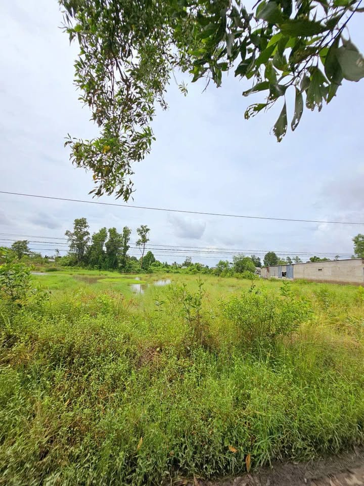 Đất thổ cư An Xuyên Cà Mau 75m² giá 295 triệu - Đầu tư sinh lời ngay!