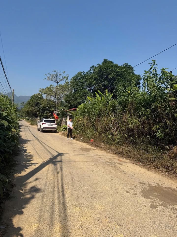 Đất nền Tân Tiến, Yên Lập 142.1m² chỉ 650 triệu - Vị trí đẹp đầu tư sinh lời!