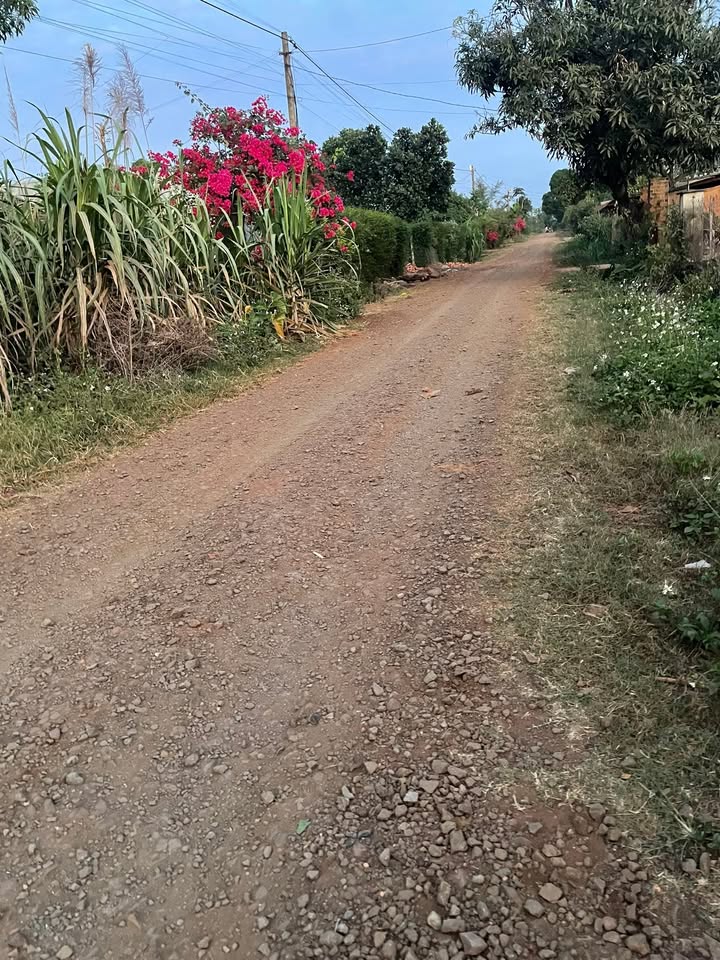 Farm đất ở xã Ea H'đinh, Cư M'gar, Đắk Lắk 6800m² - Cơ hội đầu tư hấp dẫn!