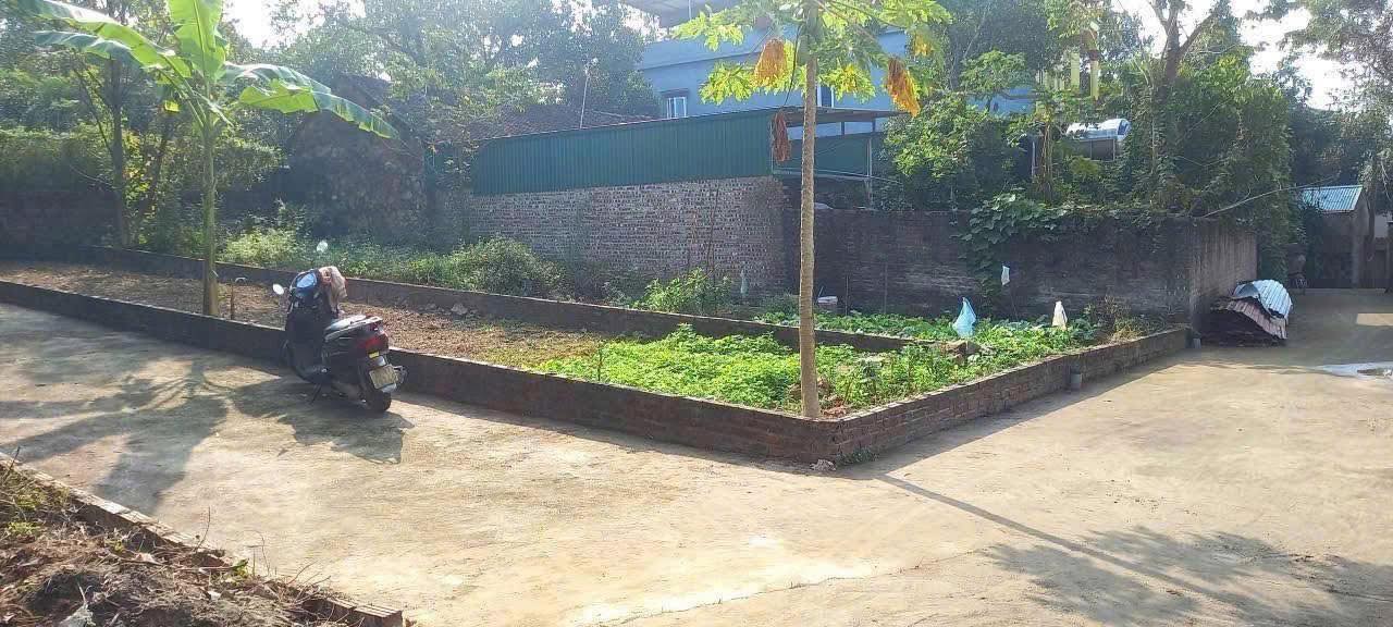 Đất nền lô góc Phật Tích, Tiên Du 90m² giá chỉ 2 tỷ - Cơ hội đầu tư lý tưởng!