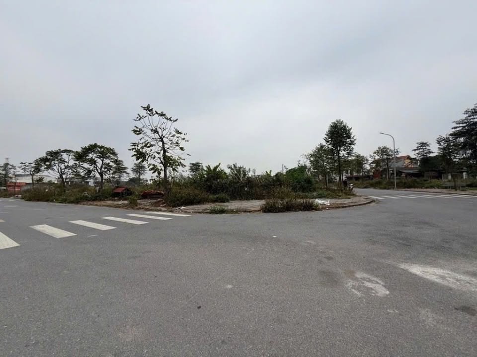 Đất Kim Thiều Từ Sơn 117m² giá 5 tỷ - Đầu tư sinh lời ngay!